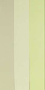 SANDERSON FIORE STRIPE  WALLPAPER